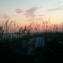 Lisa Scogin - @LisaScogin1 - Twitter