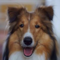 L.C (@mlc7) 's Twitter Profile