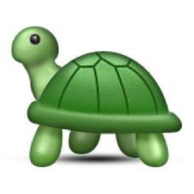 tbhjustturtIe Profile Picture