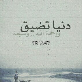 al3ody2014's profile picture. 