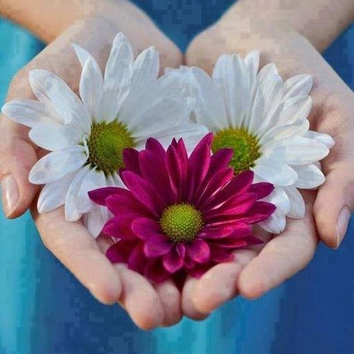 zambak_emre's profile picture. 