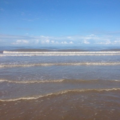 onecuddlecookie's profile picture. 