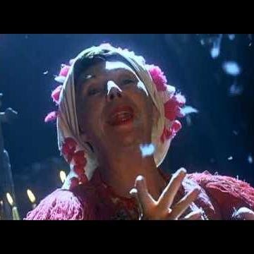 rolovana_baba's profile picture. Баба, мртва баба, ролована у сред тепих.