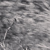 TESSIERI (@_tessieri) 's Twitter Profile