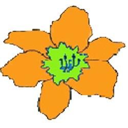 lillyscoins's profile picture. Lilly's Coins sells Collector Coins, coin supplies, and coins books for the collector.