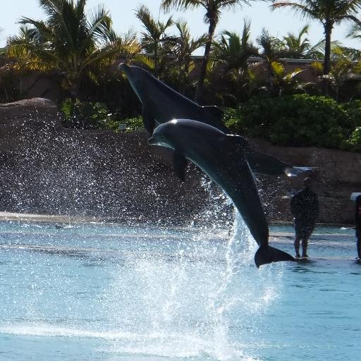 jem10510's profile picture. 