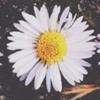 pictoucounty__'s profile picture. 