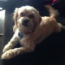 Brian Wohlgemuth - @woogs138 - Twitter