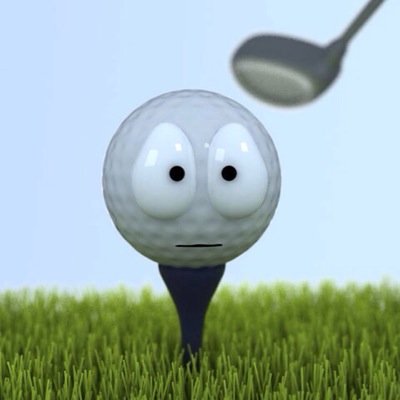 Life is like a game of golf you have good holes and bad holes but at the end you go get drunk with friends.