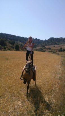 Jornadas de Inteligencia Emocional,Coaching ,PNL con caballos
El mundo del caballo tiene mucho que aportar a nuestro mundo.