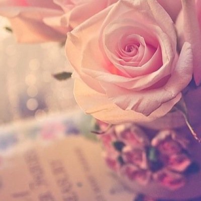 _imll's profile picture. ذكرُ الله يبقى '