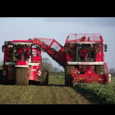 M&J Haulage are the complete sugar beet handling company , lifting and transporting beet in and beyond Lincolnshire .