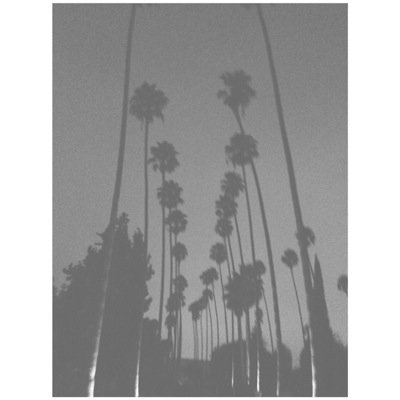 ⠀⠀⠀⠀⠀  ⠀⠀⠀⠀⠀⠀⠀⠀