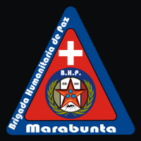 Brigada Marabunta (@brigadamarabunt) 's Twitter Profile