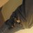 WillRobertsonwc's profile image