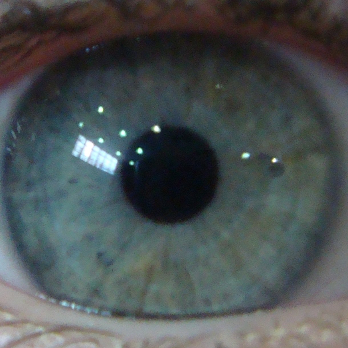 JDalois's profile picture. 