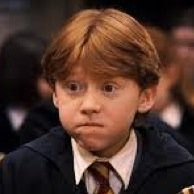 Have a biscuit Potter.