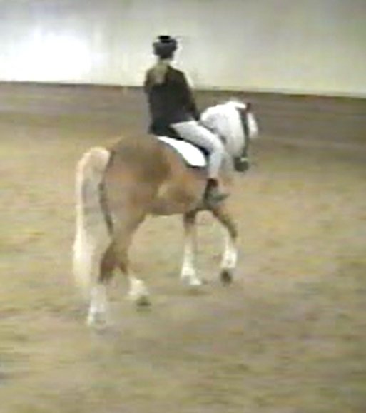 DancingDraft's profile picture. 