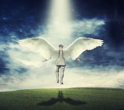 mysteryfoxyworl's profile picture. 