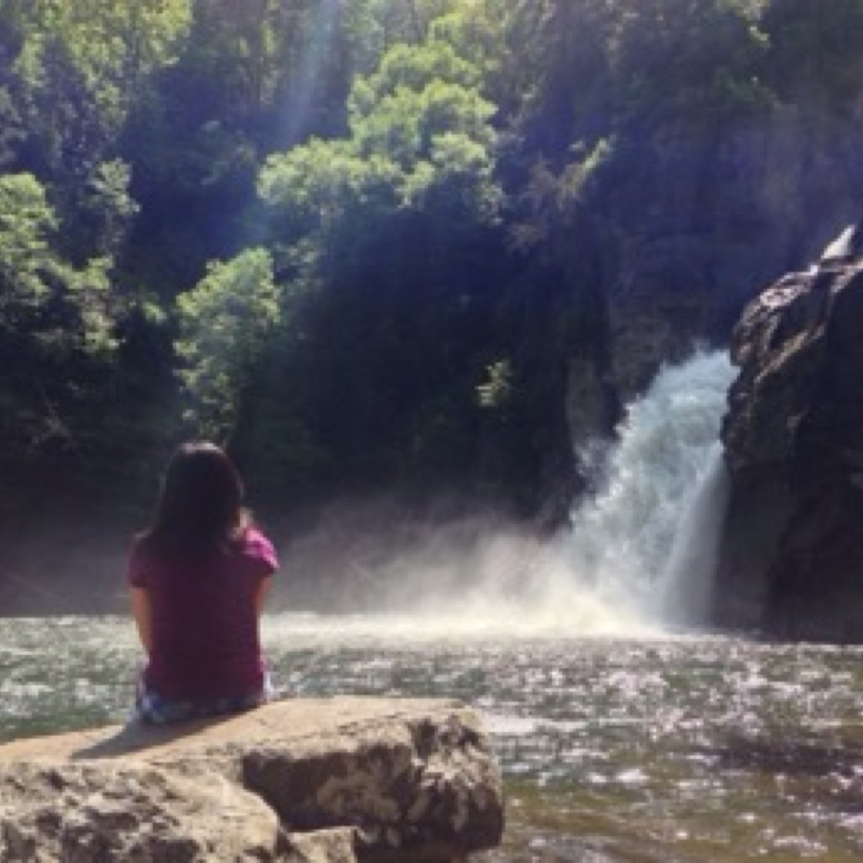 BunnyBunnyGreen's profile picture. 