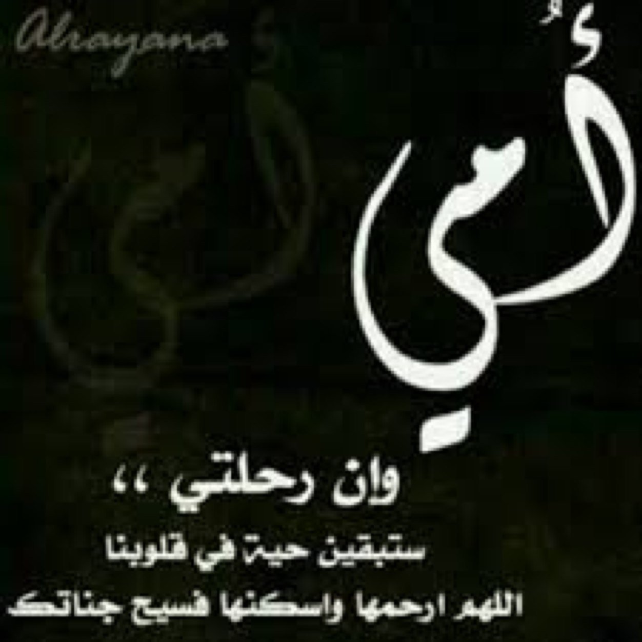 رحمك الله ياجنتي ويافقيده قلبي