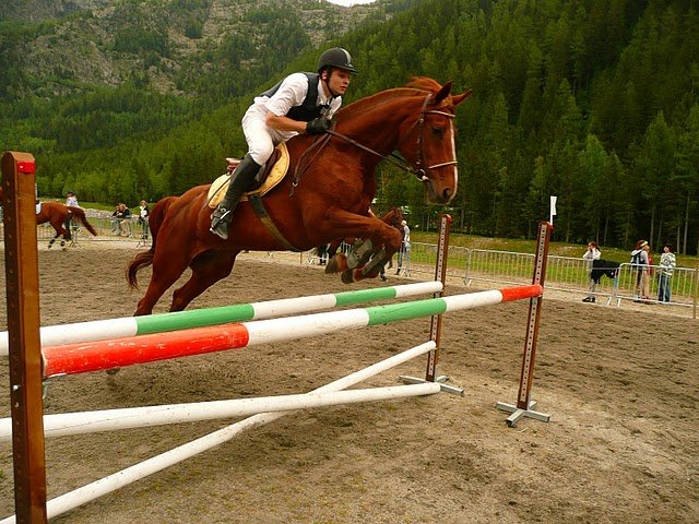 cavalier, moniteur