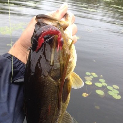 I LOVE FISHING! Main Species: Bass. Life Goal: Fish for a living. Fleming College graduate: Fish and Wildlife Technician