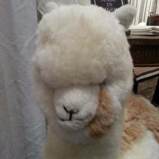 purplecrissy's profile picture. Purple and vampires, nuff said