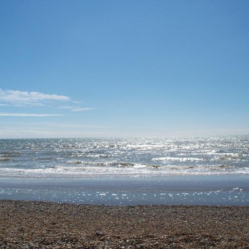 StarayaChuckles's profile picture. Human!