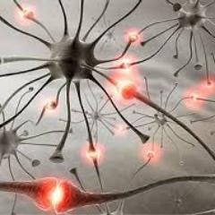 TRUEADekvat's profile picture. Music is my religion...