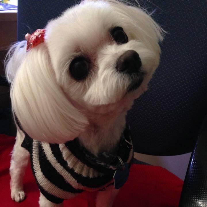 yoojinoh's profile picture. Prince(ss)ton '18