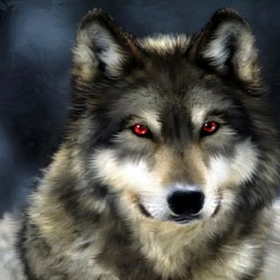 I don't really like anyone and prefer to be by myself. Leave me be...please...
She-wolf, single, alone.