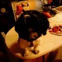 Janet. Leininger - @janetdleininger - Twitter