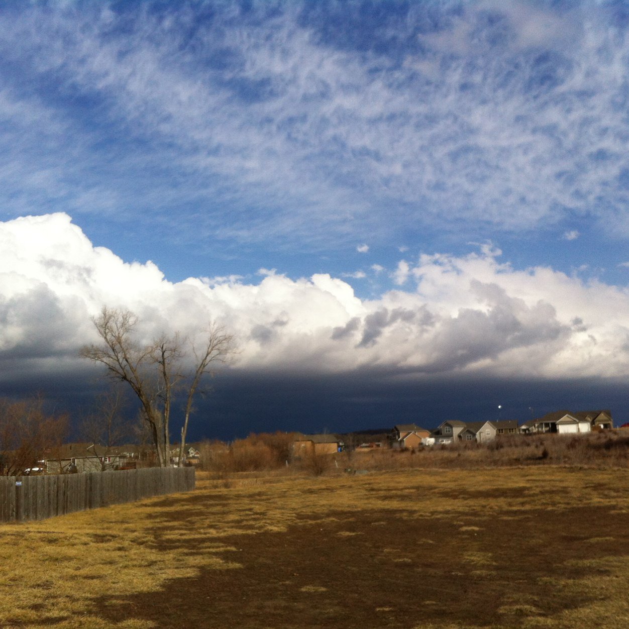 RunMaRunblog's profile picture. 