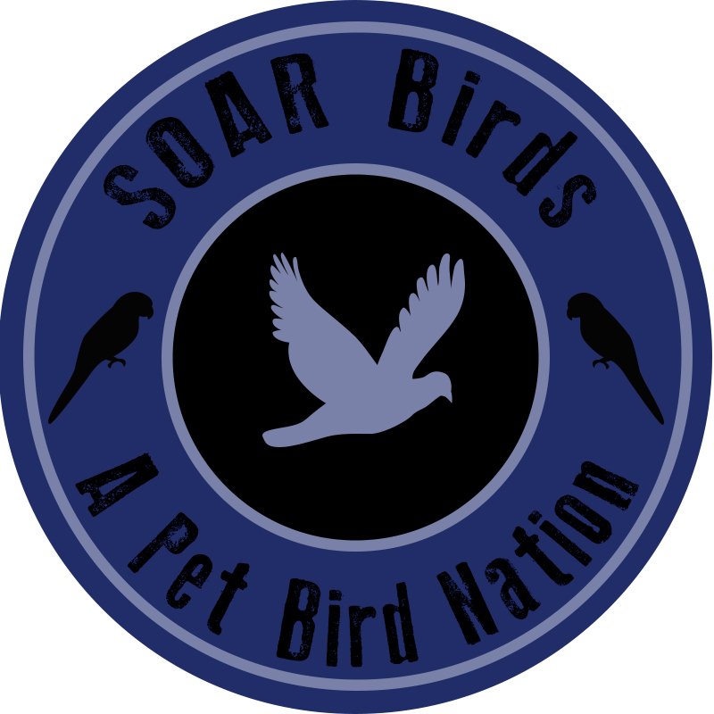 Helping bird lovers adopt or place pet birds, share stories & provide coaching/support to bird owners in our community. https://t.co/5TvhXC1mwq