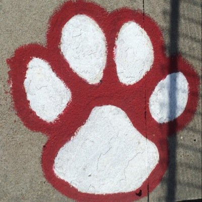 Official Twitter account of Lansing High School Student Council, managed by STUCO PR Reps. Follow for school updates and information on events! #Proudofthepride