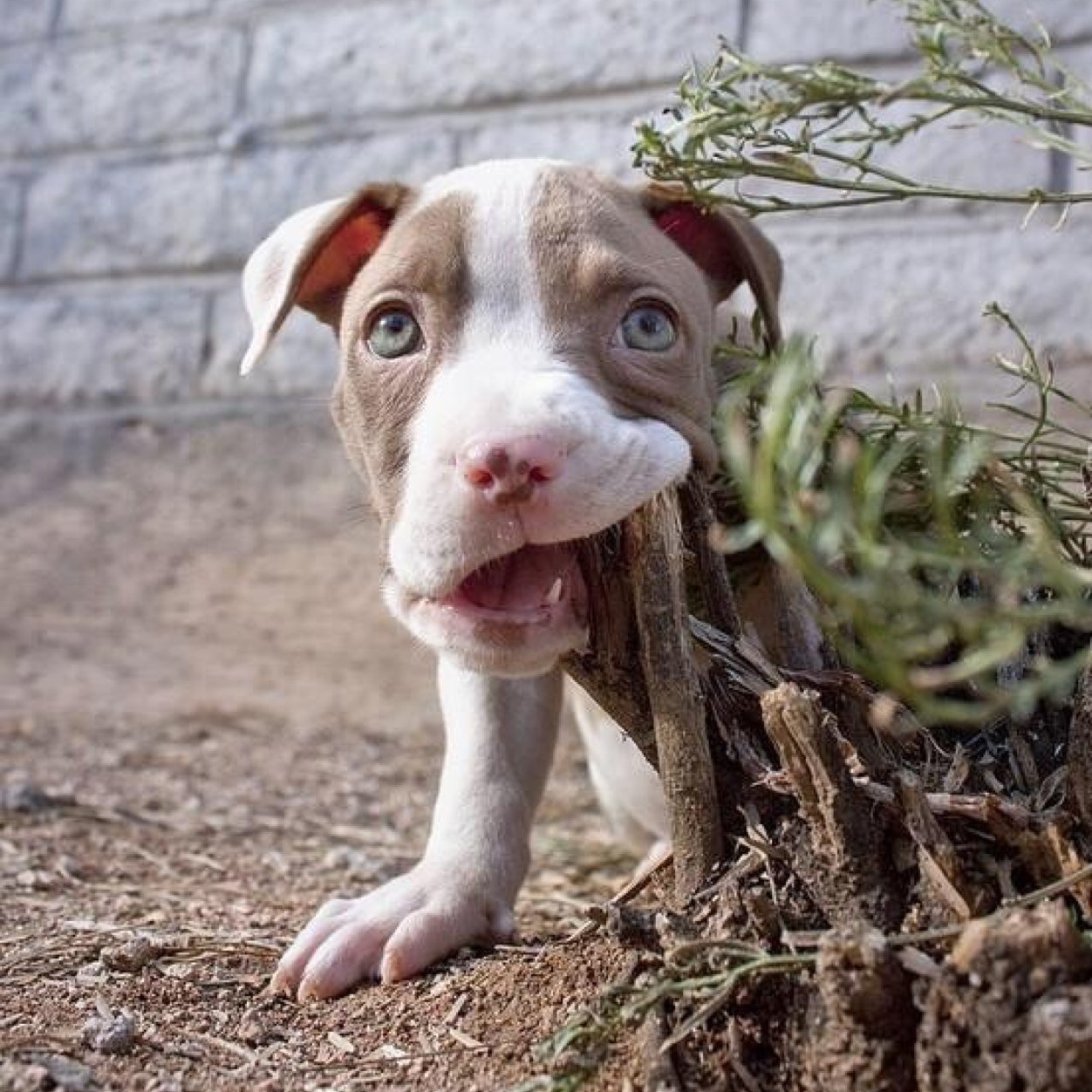 LouisRowley94's profile picture. 