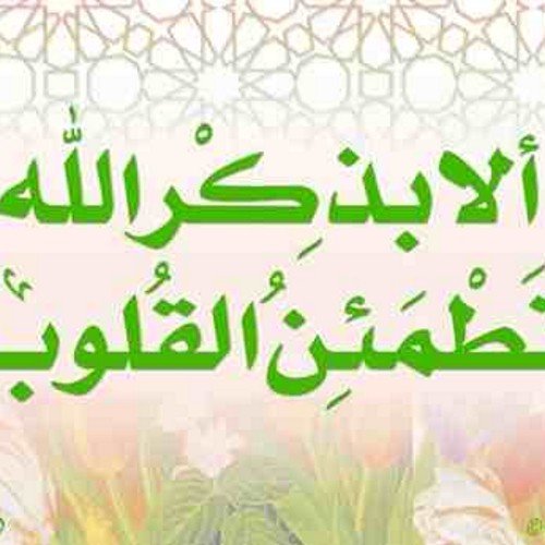 ‏‏‏‏مفسر 




راقي