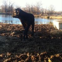 Dena Key (@dena_key) 's Twitter Profile