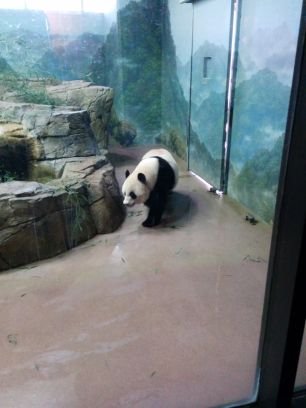 thedigitalserf's profile picture. নহি যন্ত্র আমি প্রাণী ।