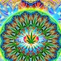 FOLLOW ME FOR ALL TWEETS AND TO KEEP UPDATED