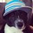 UnRefinedDesign's profile image