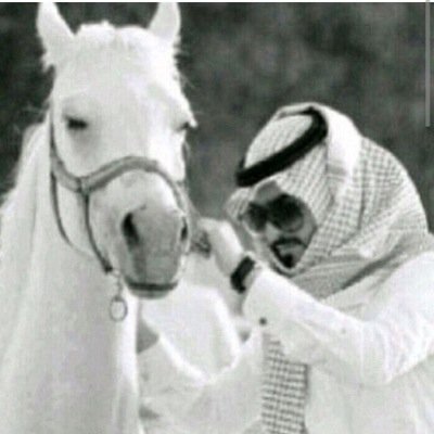 الضو ، والدله (( وشوفت نياقي )) علاج قلبي من بلا الحزن والضيق