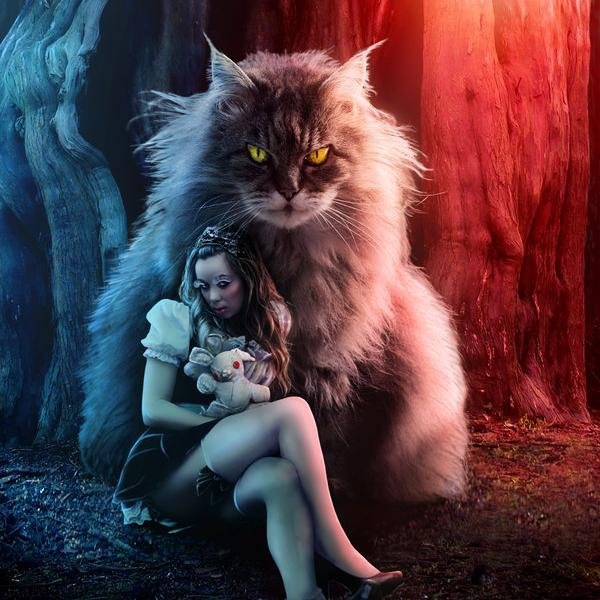 quién dijo que el gato no guió a Alicia hacía donde el quería...