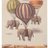 irrrrelephant's profile image