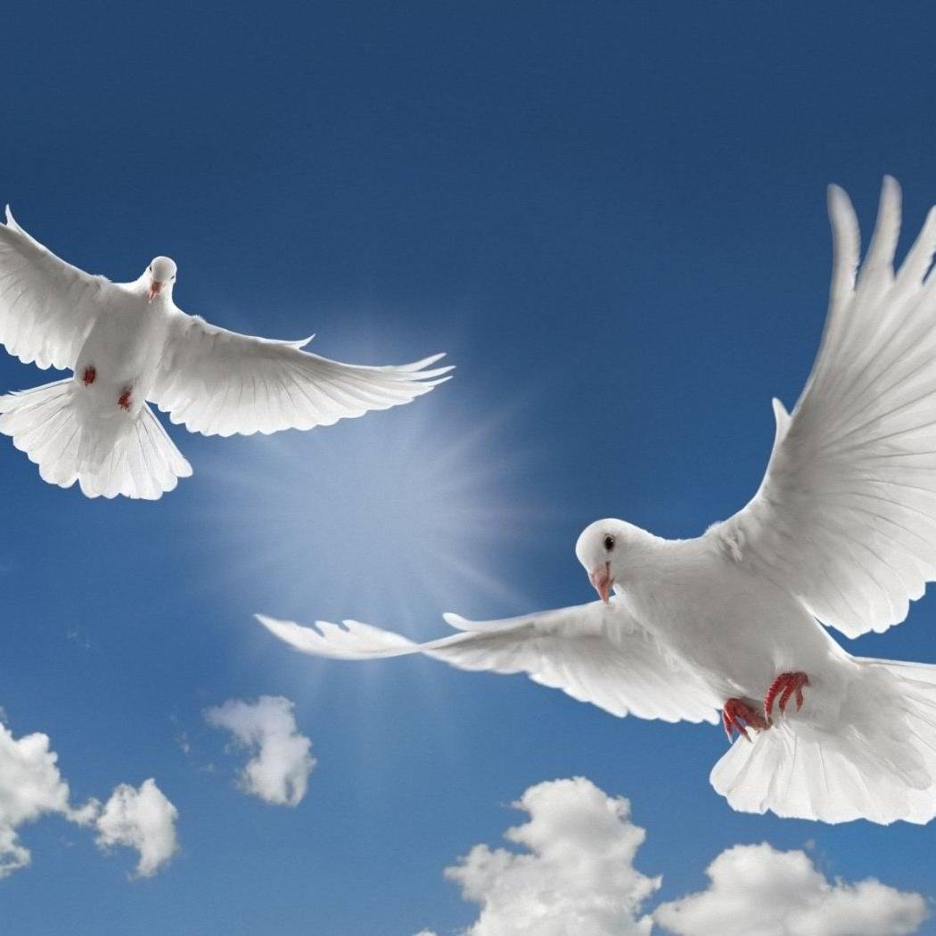 sciwork4u's profile picture. 