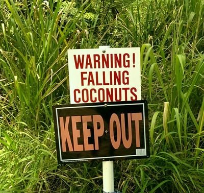 gerrybell89's profile picture. 