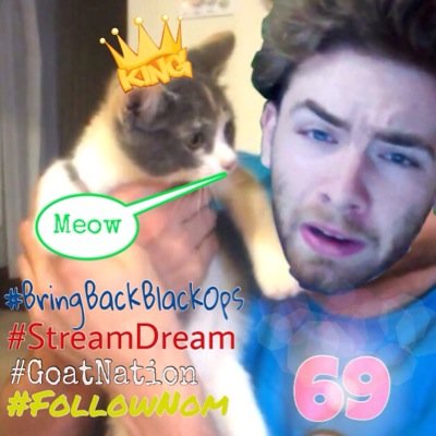 The fake twitter account for Nom the cat. I'm cared for by the gold medal champion GOAT @Whiteboy7thst and @POPPKELL #AlexFollowsMe #str8bars