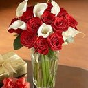 amfaaaa 05330132284 (@055330313284) Twitter