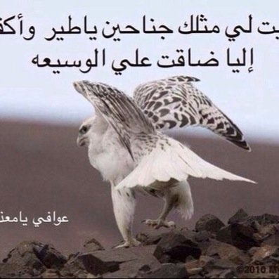 التغريدات والمتابعين ببساطة , شاهدين على ماقد وثقته يدي في كتابي يوم العرض على الله.... إن خيراً فخير وإن شراً فشر....